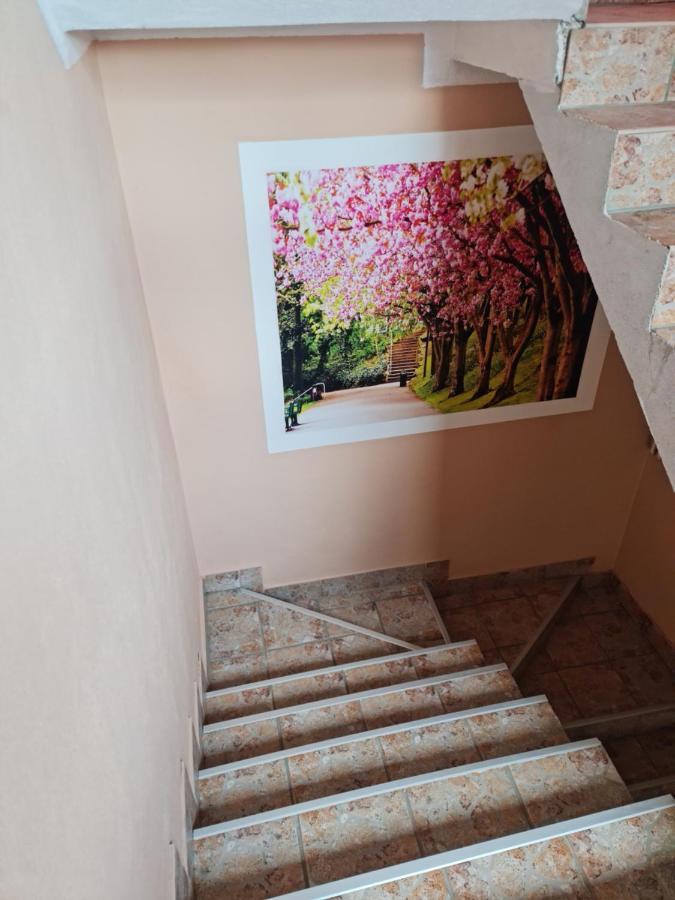 Apartman'S Ana Pale-Oc Jahorina No.2 Bagian luar foto